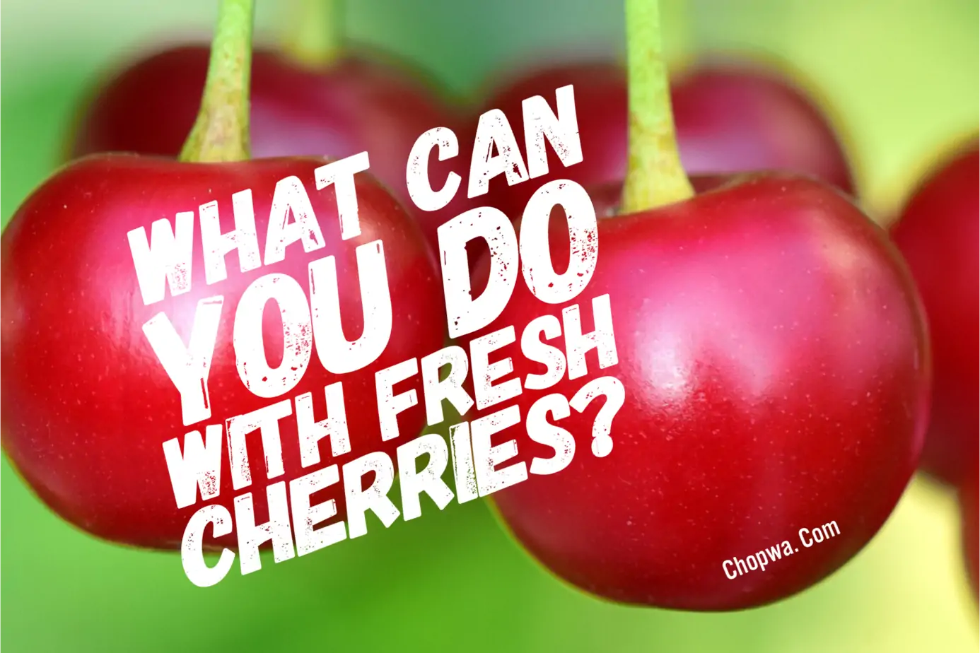 Fresh cherries recipes