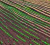 Precision Farming: The Future of Sustainable Agriculture