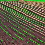 Precision Farming: The Future of Sustainable Agriculture. Technologies, benefits and examples