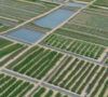 Water and water management. Moisture, irrigation, water stress, detection, quality, precision farming. AI assisted tools