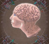 Exploring Memory Types: The Intricacies of the Human Brain.Sensory, short-term, working, sleeping