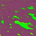 Soil Restoration: Restoring Health to Degraded Soil. Examples. Benefits.